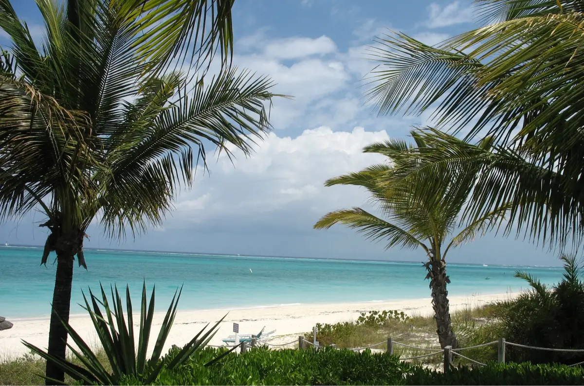 First-Time Guest Experiences That Inspire Return Visits to Miami