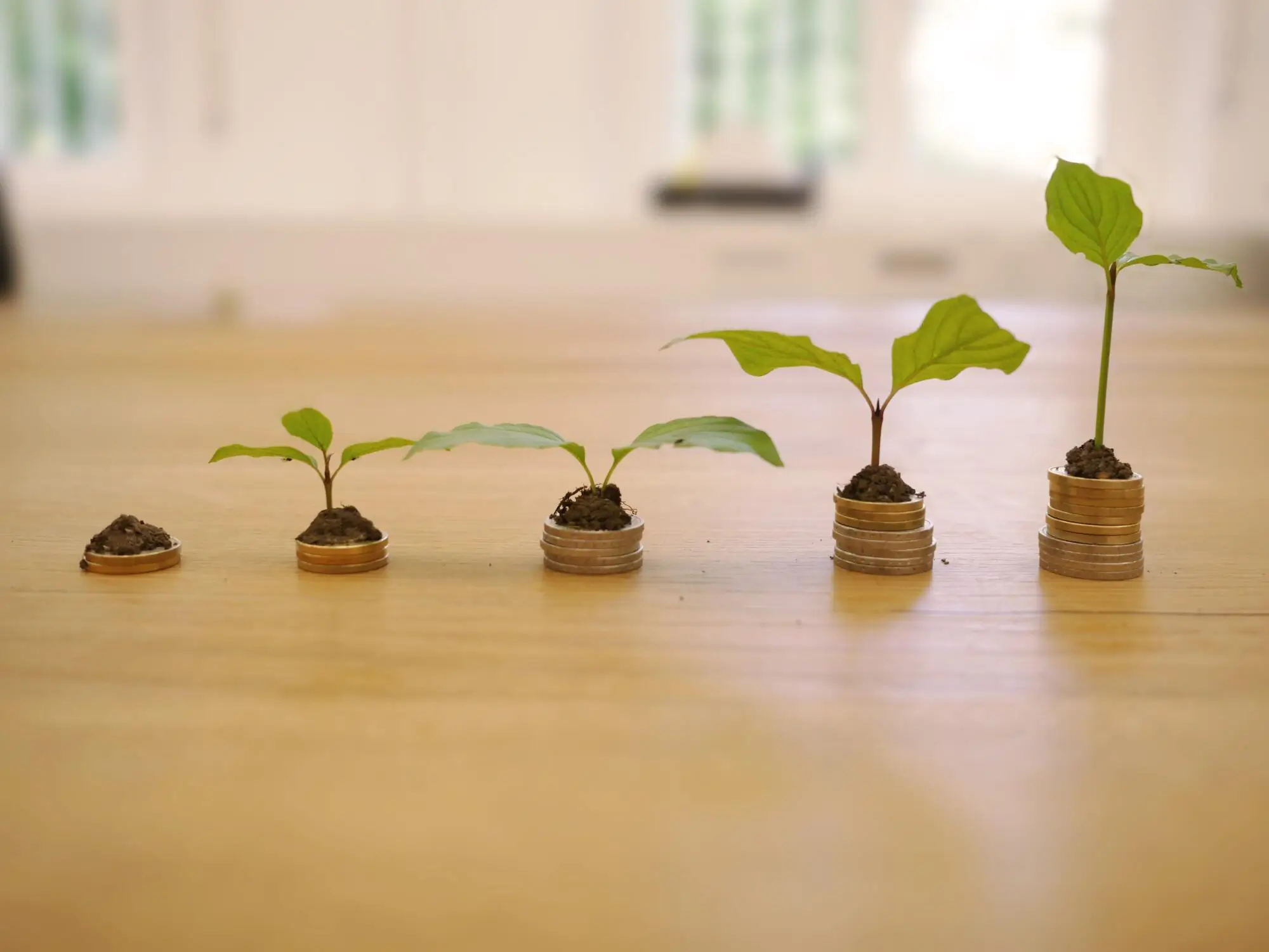 Maximizing Rental Income: Top Tips for Miami, FL, Landlords